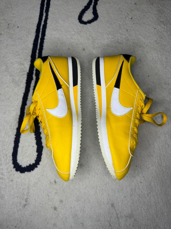 Nike Nba cortez collab